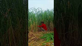 Download lagu don't be late don't eat.. mp3 Download lagu don't be late don't eat.. mp3