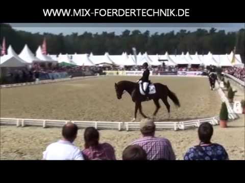 Fürst Fohlenhof (Hengst) - Bundeschampionat 2014