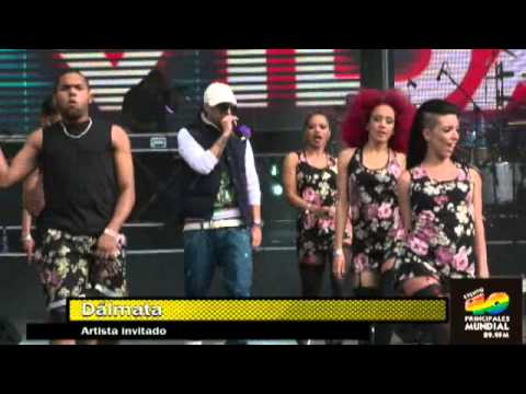 Señal de vida - Dalmata Evento 40 [Mayo 2014]