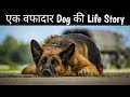 A Dog Named Palma | Movie Explained in Hindi | Sad & Emotional Movie | 6.9/10 IMDB Ratings