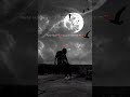Khwaishe Jo Thi Meri Bas Tujhko Paane Ki Whatsapp Status Sobin Status