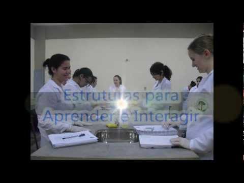 Escola Santa Isabel.wmv