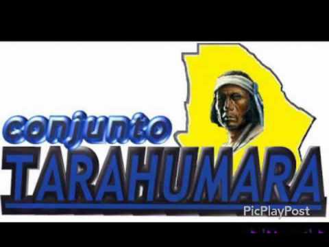 Gaviota Traidora-Conjunto Tarahumara En Vivo