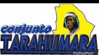 Gaviota Traidora-Conjunto Tarahumara En Vivo