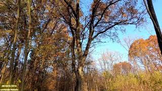 Download lagu AIRMATA CINTA... Cipt : Mandar Mahesta cover Nadi Baraka mp3 Download lagu AIRMATA CINTA... Cipt : Mandar Mahesta cover Nadi Baraka mp3