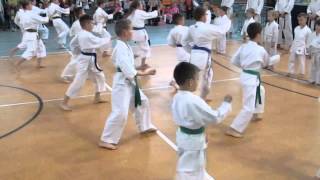 preview picture of video 'Kluczborski Klub Karate - Pokaz Hala OSIR 10.04.2014'