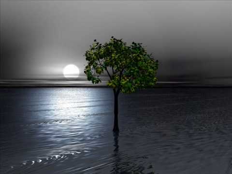 DJ Pedrox Feat.  Minenza - I Need To Feel Loved {Original Mix} Armadamusic.com