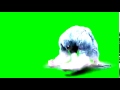 Snow Beast Green Screen