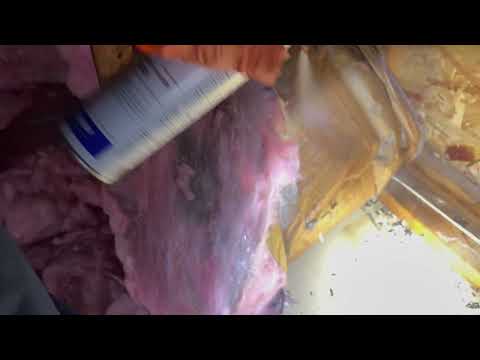 Large Carpenter Ant Infestation Under Attic Insulation in Parlin, NJ