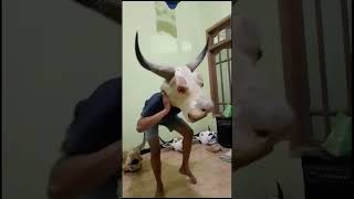 Download lagu AMUNISI BARU 🔥🔥🔥 #dj #remix #djremix #mberot #jaranan #banteng #bantengan #bantengbrangwetan mp3
