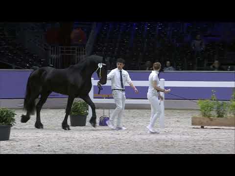 HK 2024   Rubriek 1 Deel 2   Vrijdag 12 januari   Tweede bezichtiging