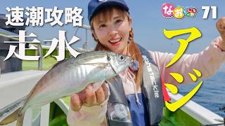アジの釣果写真