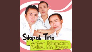 Download lagu Tortor Namora Dohot Na Pogos mp3 Download lagu Tortor Namora Dohot Na Pogos mp3
