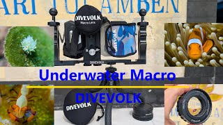 Underwater Macro with a PHONE! Divevolk Macro Lenses (TESTED)