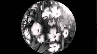 Juju & Jordash   African Flower  Cosmic Dub Mix 