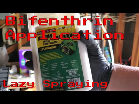 Bifenthrin Application | Lazy Spray
