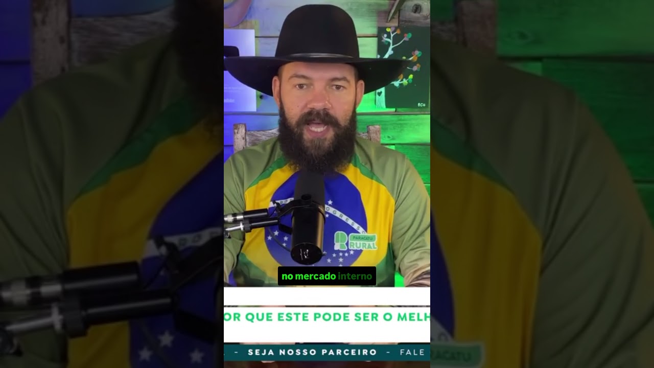Venda da Safra: Por que este pode ser o melhor momento do ano para a soja