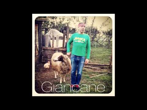 Giancane - Pecora