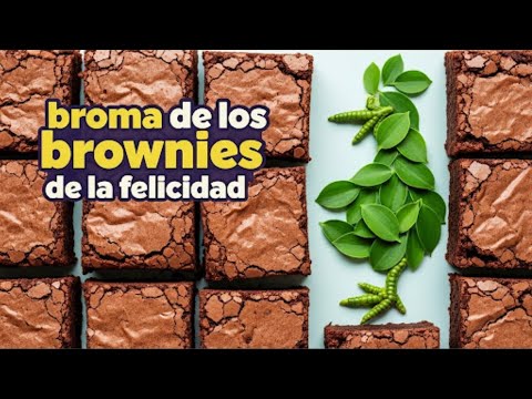 Happy Brownie Prank on My Grandma