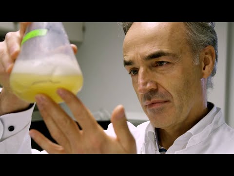 CRISPR Technology: The Gene Editing Revolution | SoundHeal