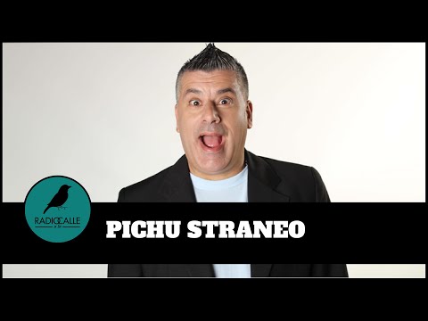 PICHU STRANEO guardó todos sus chistes que hizo en #SinCodificar