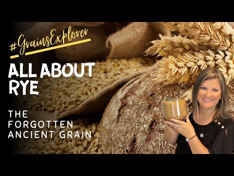 All About Rye: Don't Miss This Ancient Grain! | Meet the Grain