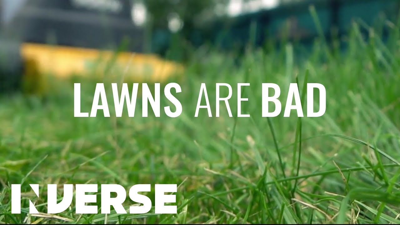 Is lawn harmful to the environment?
