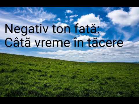 Negativ ton fată: câtă vreme în tăcere-modificat de Raluca Răcean