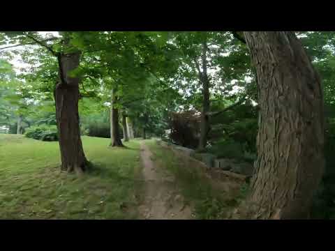 Harvard Arnold Arboretum Trail Running Boston Massachusetts 1 - Walter Street Graveyard Peter's Hill