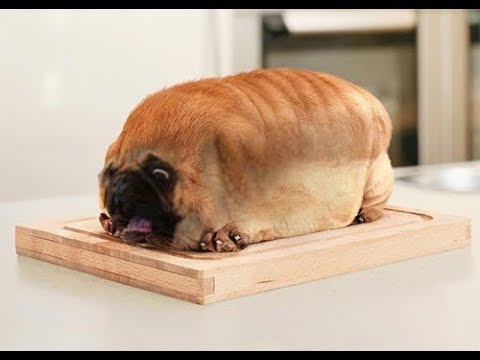 Empire at War: Remake Mod- Hard Rebel Destruction