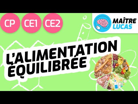 L'alimentation équilibrée CP - CE1 - CE2 - Cycle 2 - Questionner le monde