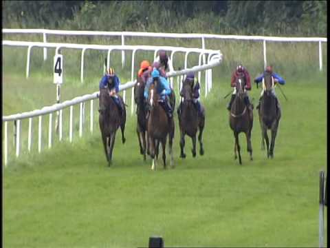 Galopprennbahn Dresden 14.06.2014 - 1. Rennen