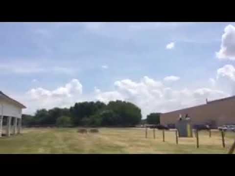 Thumper, a Trebuchet