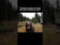 Straight out the crate 😳  #outdoorsurvival #bear #grizzly #shtf #outdoors #natureismetal #nature
