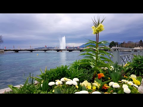 Ginebra -  Ruta urbana (2023 Marzo)