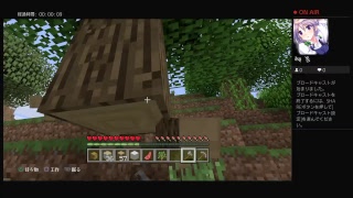 マイクラプレイ