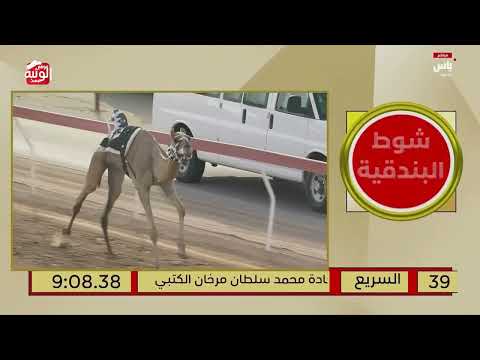 ملخص السباق , ختامي العين 2026/10/07 ثنايا الروضة