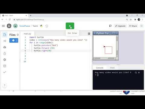 Variables In Turtle Python