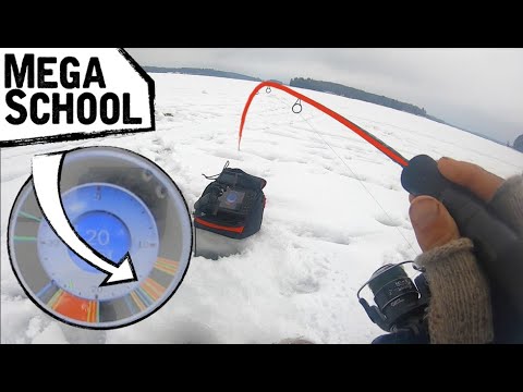 HUGE School of Aggressive Crappies - Ice Fishing
