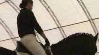 Hendrik the Magician Friesian Stallion Wolfgang May Clinic