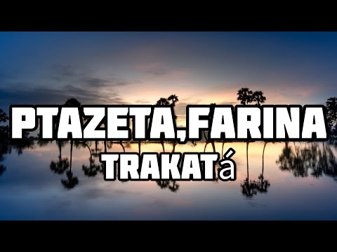 Ptazeta,Farina - Trakatá (Lyrics) TikTok song