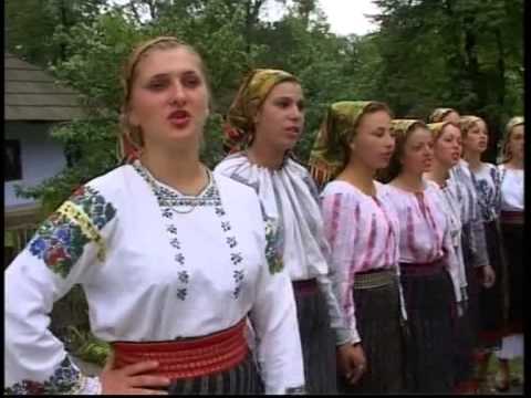 DANUT ABABEI   ansamblul Dumbrava   Foicica doi bujori