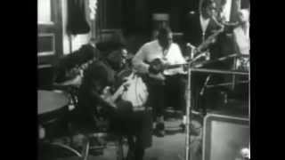 Howlin' Wolf - Down In The Bottom - live 1966