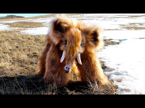 Animals That CAME BACK From Extinction