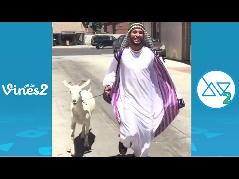 New Anwar Jibawi Vine Compilation with Titles | All Anwar Jibawi Vines 2015