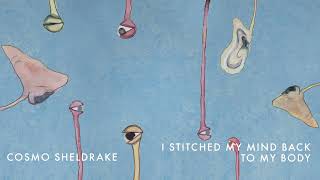 Cosmo Sheldrake - I Stitched My Mind Back to My Body
