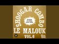 Succès Malouk