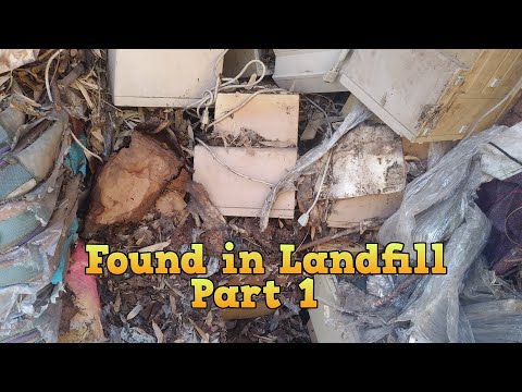 Apple Monitor Found in Landfill - Restored - Part 1