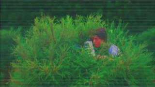 Datarock: Amarillion (Music Video)