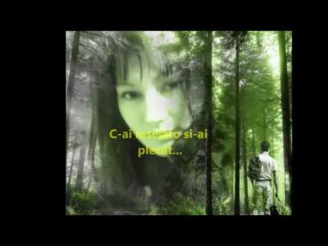 e un dumnezeu acolo sus